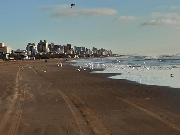 Complejo Extremo Lägenhet Mar de Ajó Exteriör bild